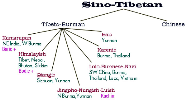 un recente albero genealogico per il protosinotibetano