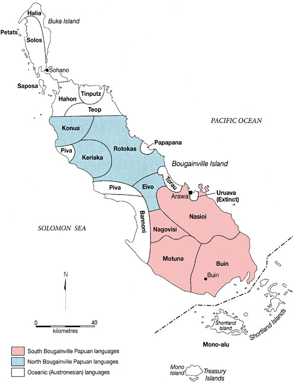 L'articolazione linguistica dell'isola Bougainville