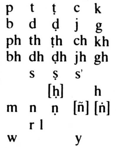 Il sistema consonantico sanscrito