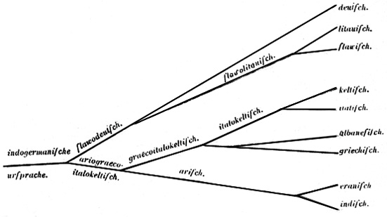 Il modello ad albero di Schleicher