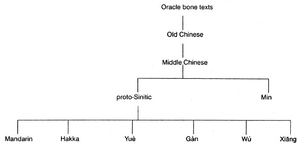 l'albero filogenetico del sinico