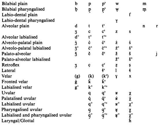 I sistema fonologico consonantico dell'ubykh